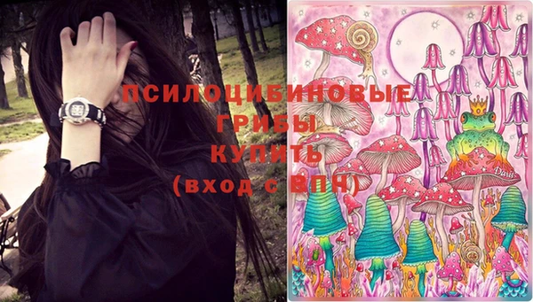 бошки Алзамай