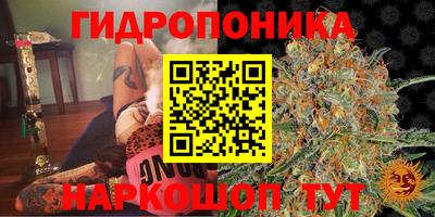 синтетический гашиш Пенза