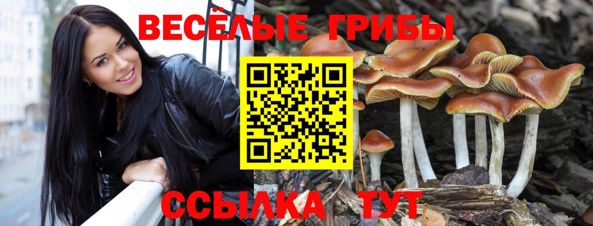 Галлюциногенные грибы прущие грибы  Вход с VPN  Топки  Псилоцибиновые грибы ЛСД 
